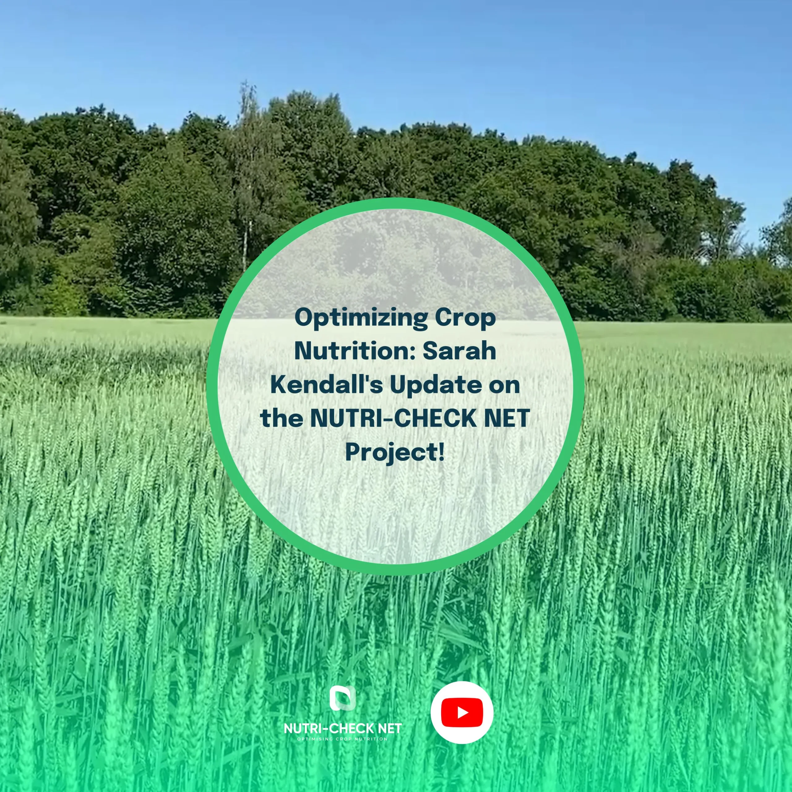 Optimizing Crop Nutrition: Sarah Kendall’s Update on the NUTRI-CHECK NET Project