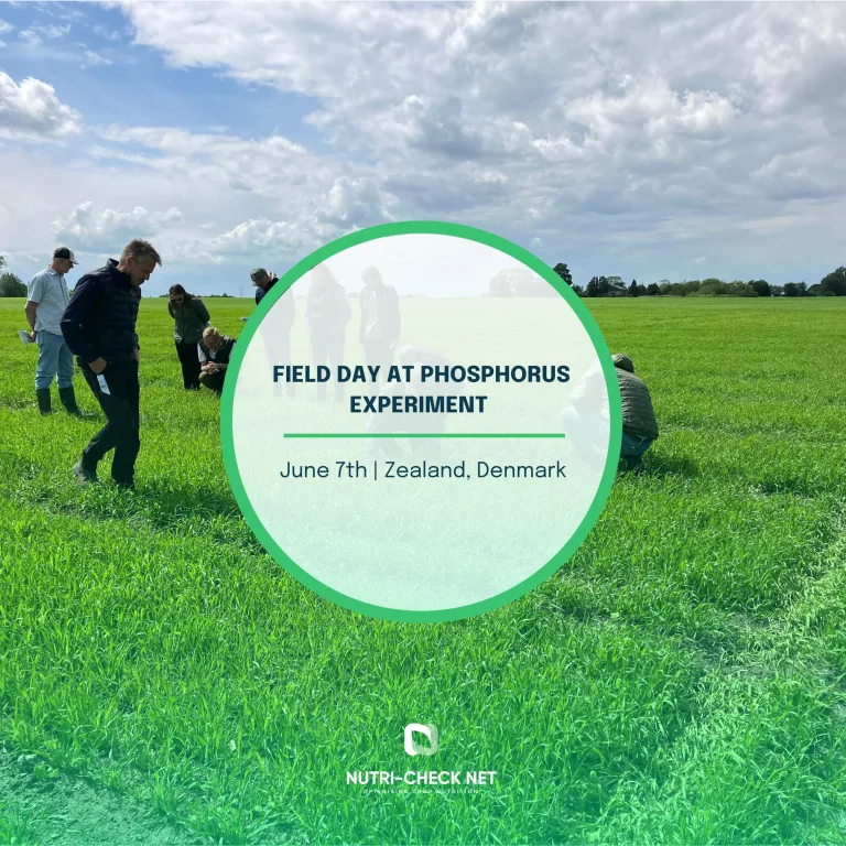 Field Day at Phosphorus Experiment | June 7th, Zealand, Denmark