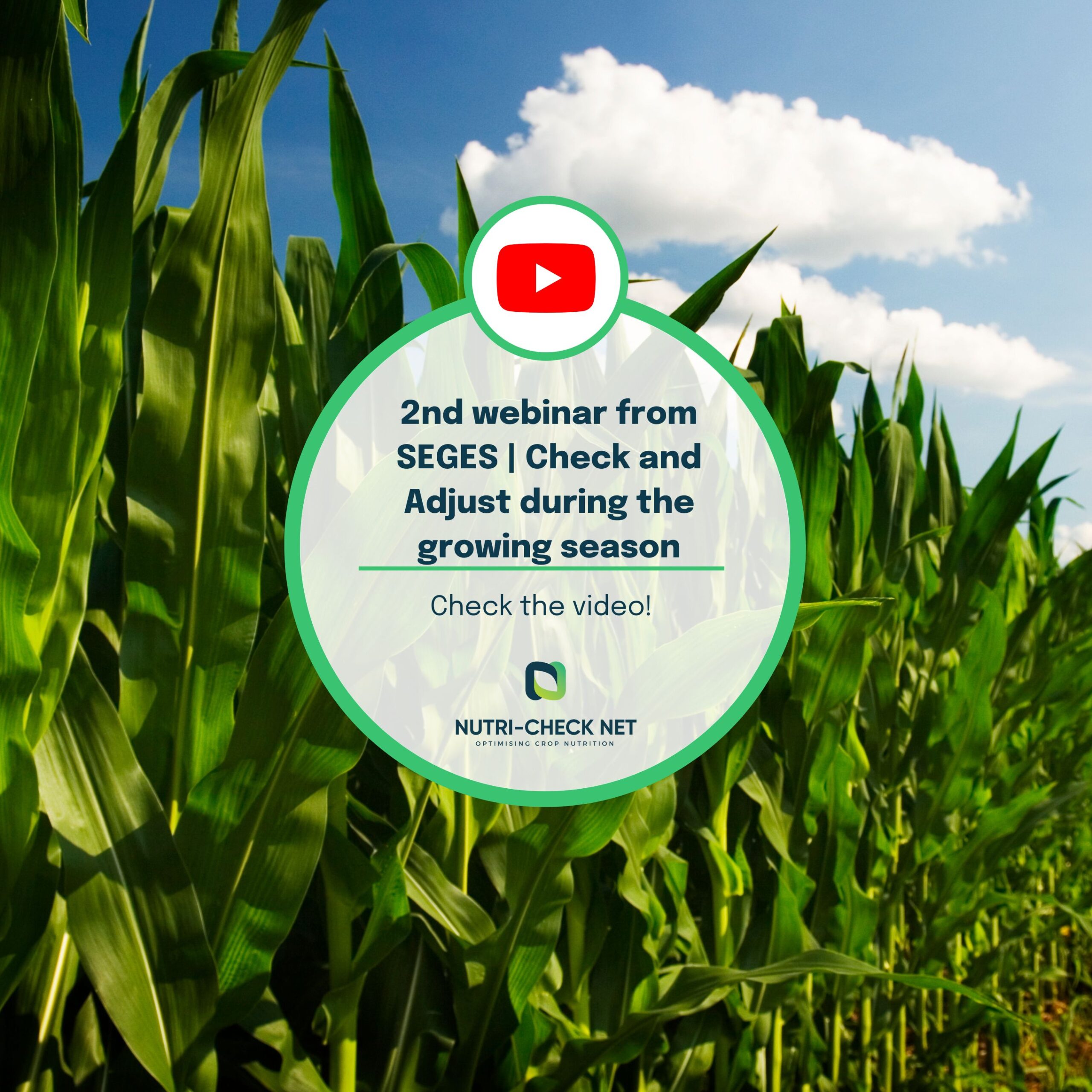 Check and Adjust During the Growing Season | Key Strategies from the 2nd Webinar from SEGES