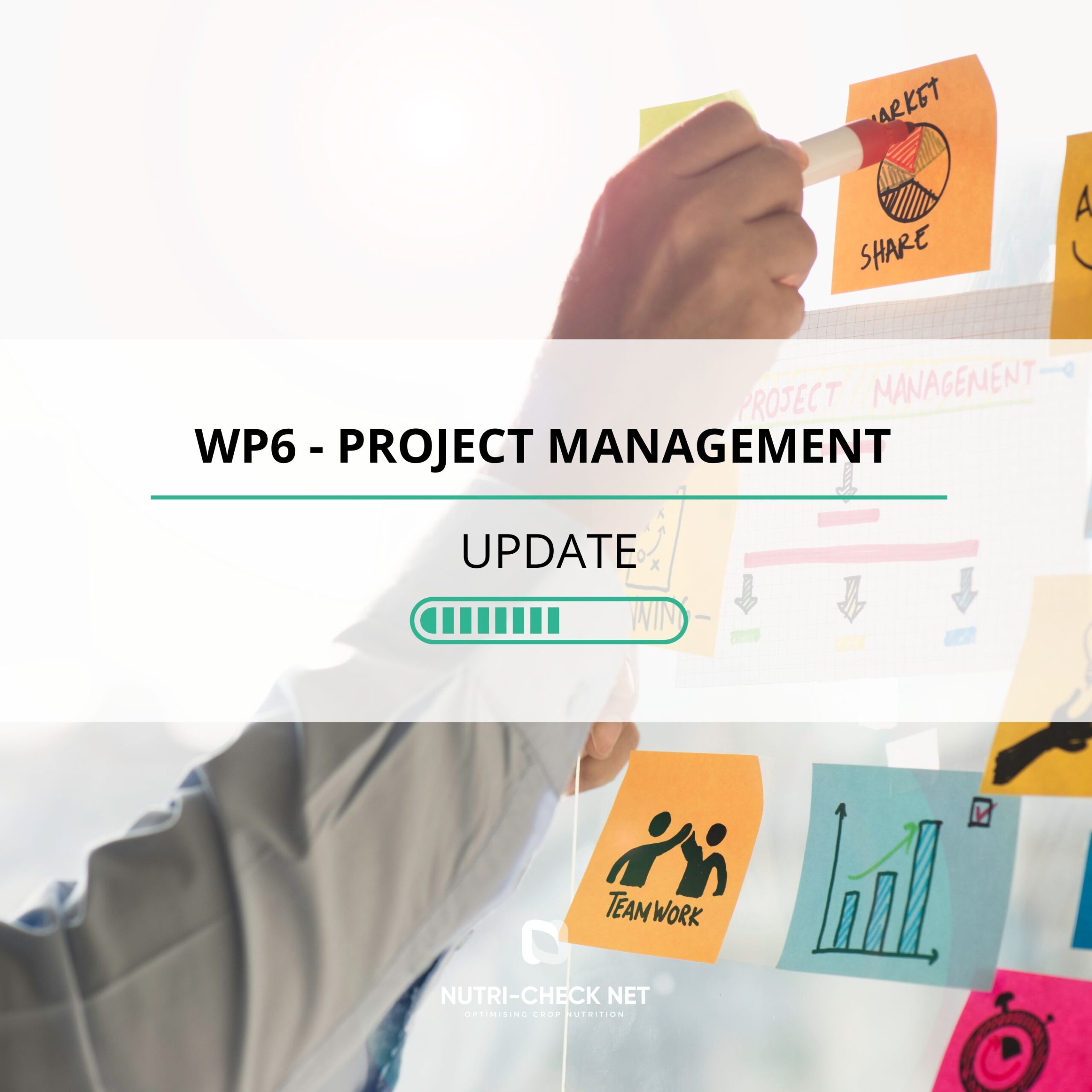WP 6 Update | Project Management