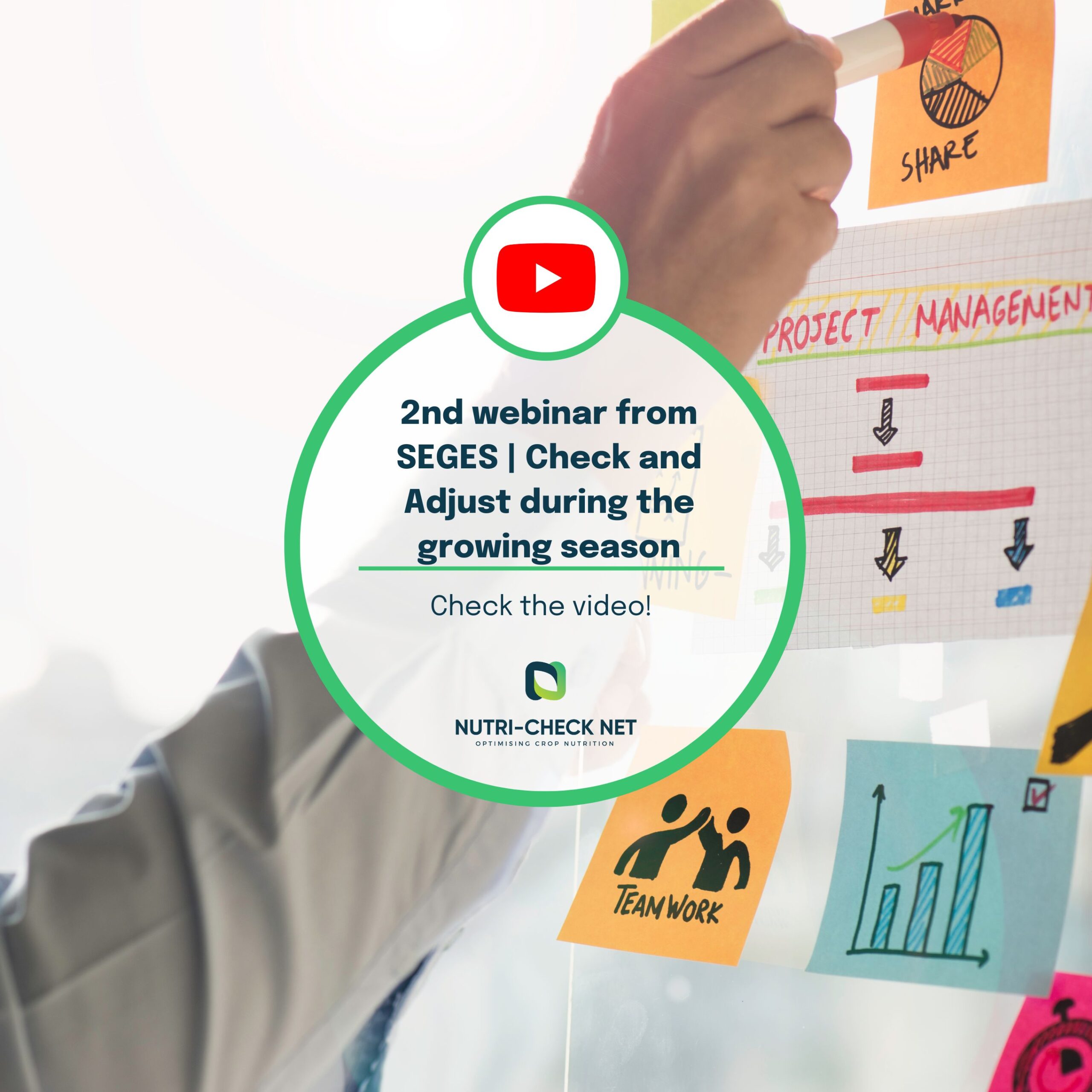 Check and Adjust During the Growing Season | Key Strategies from the 2nd Webinar from SEGES
