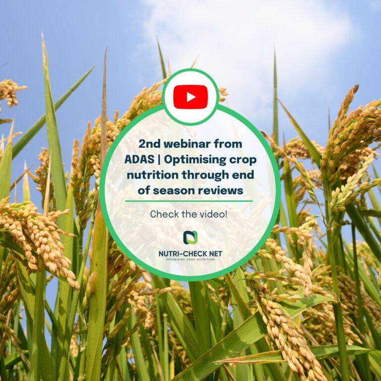 Optimising Crop Nutrition Through End‑of‑Season Reviews | 2nd Webinar from ADAS Webinar