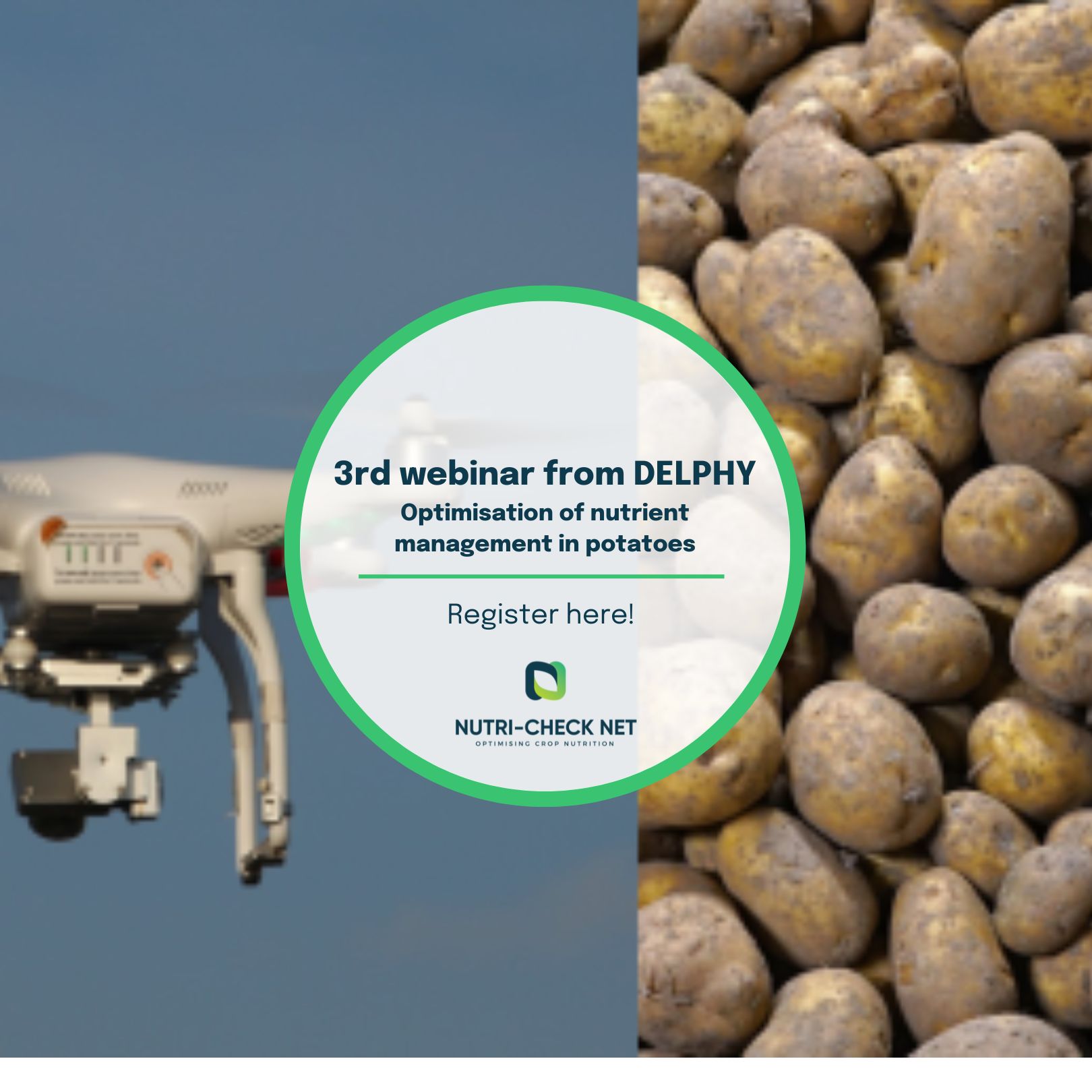 Optimizing nutrient management in potatoes | DELPHY | 3rd Webinar