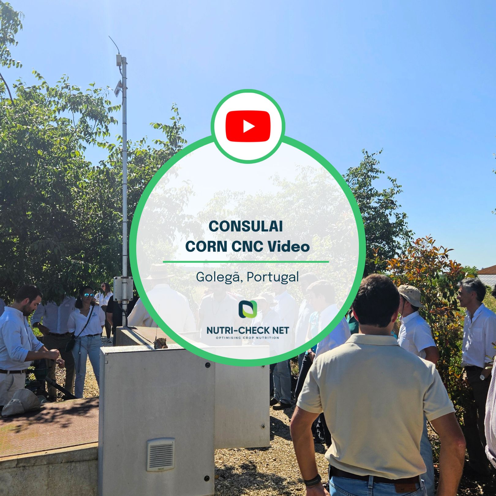 CONSULAI CORN CNC video is out!
