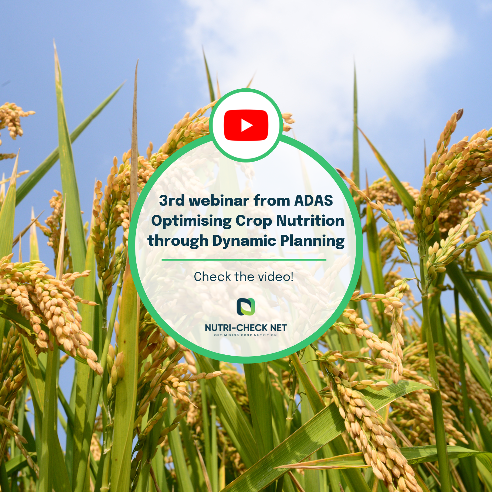 3rd Webinar from ADAS is out!