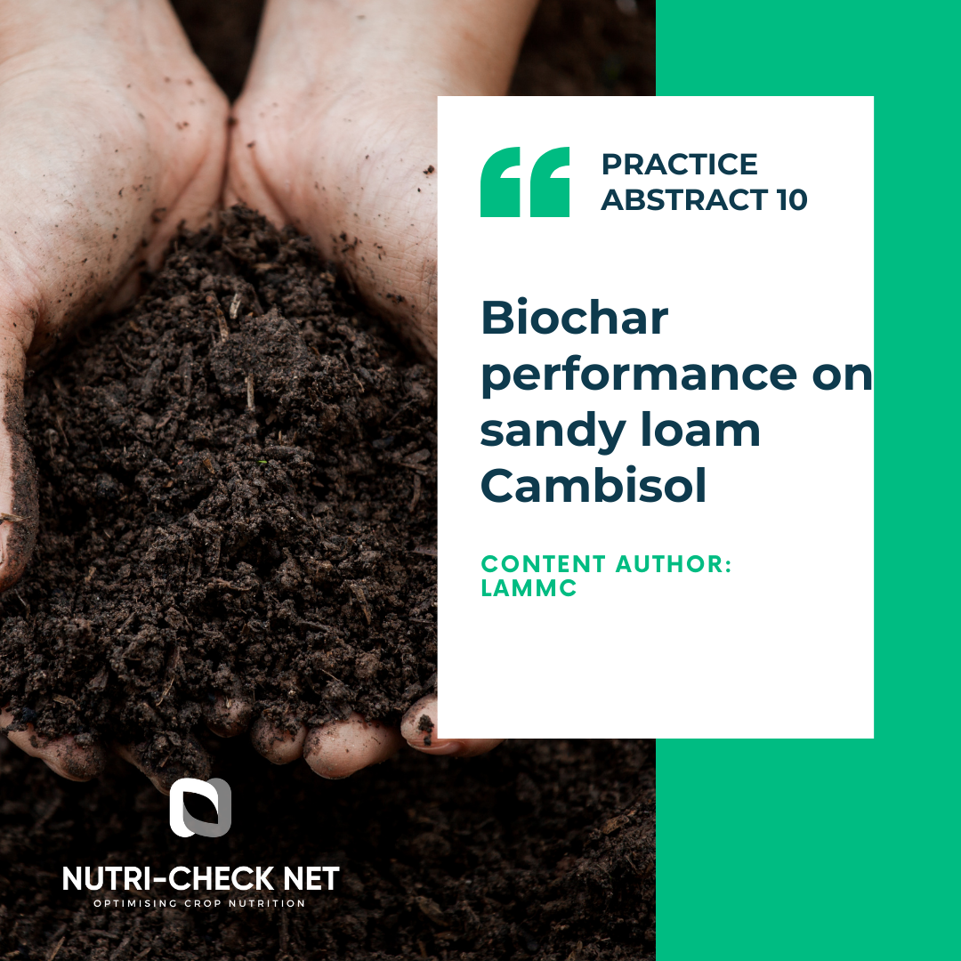 Biochar performance on sandy loam Cambisol
