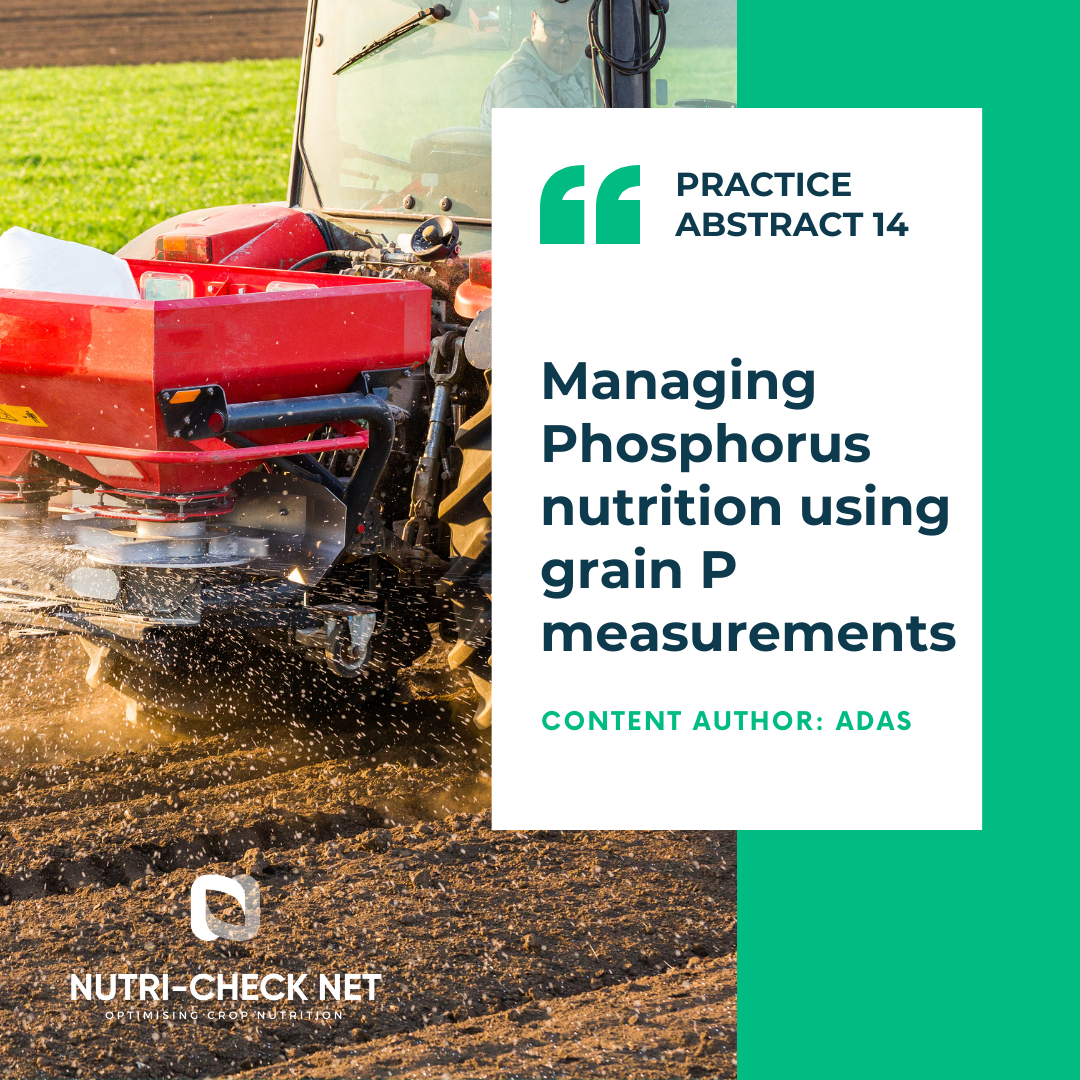 Managing Phosphorus nutrition using grain P measurements