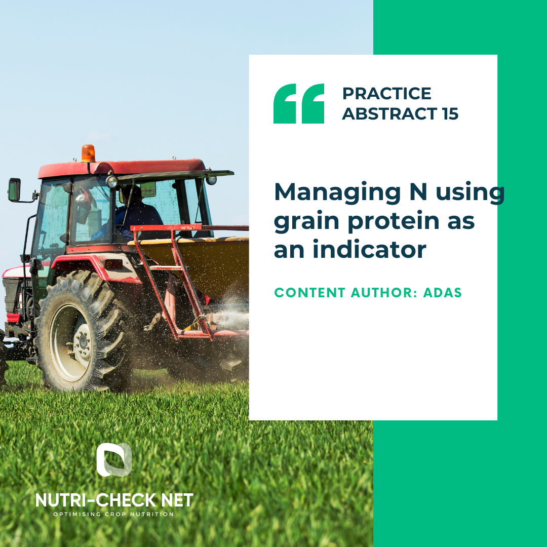 Managing N using grain protein as an indicator