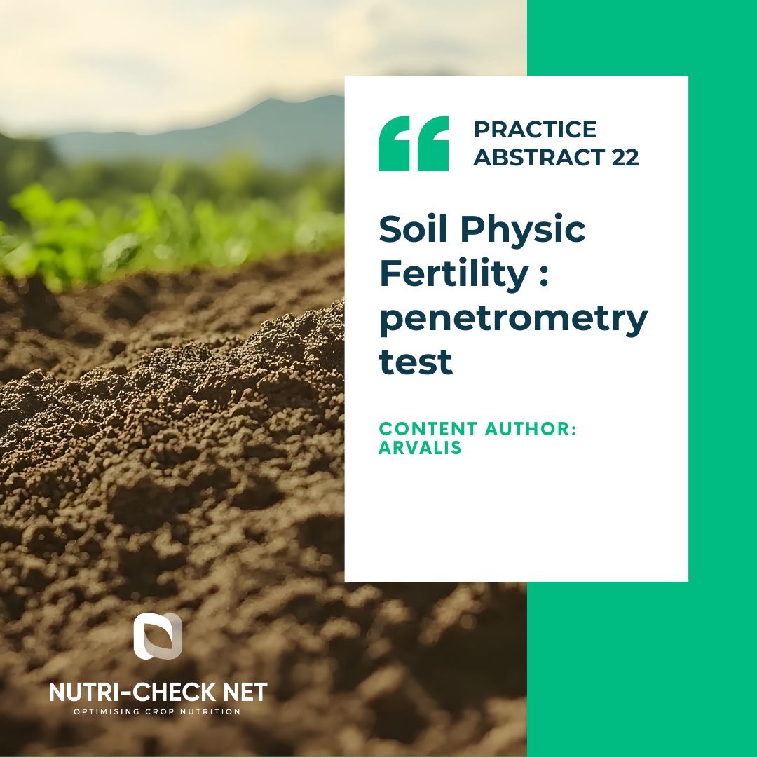 Soil Physic Fertility : penetrometry test