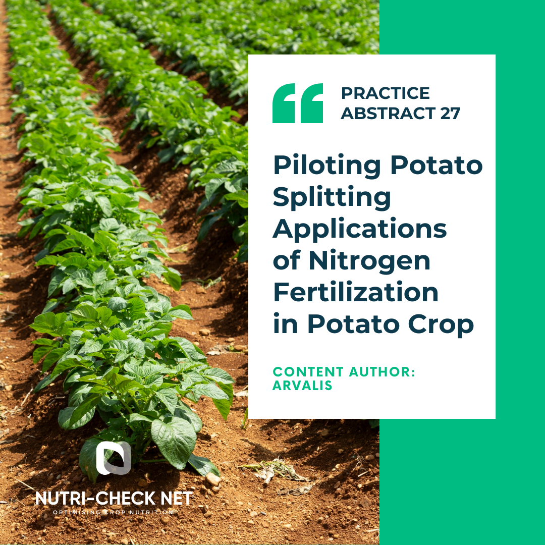 Piloting Potato Splitting Applications of Nitrogen Fertilization in Potato Crop