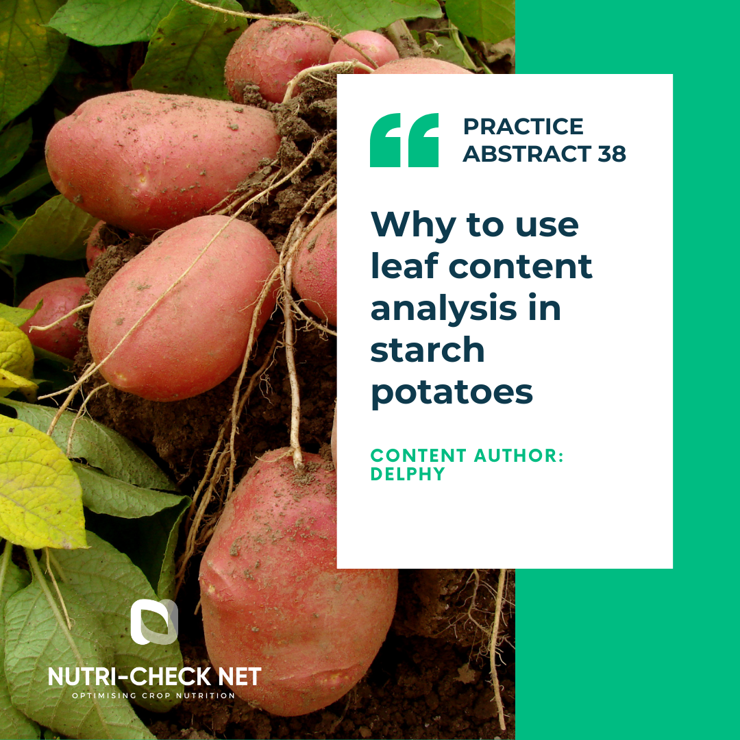 Why to use leaf content analysis in starch potatoes