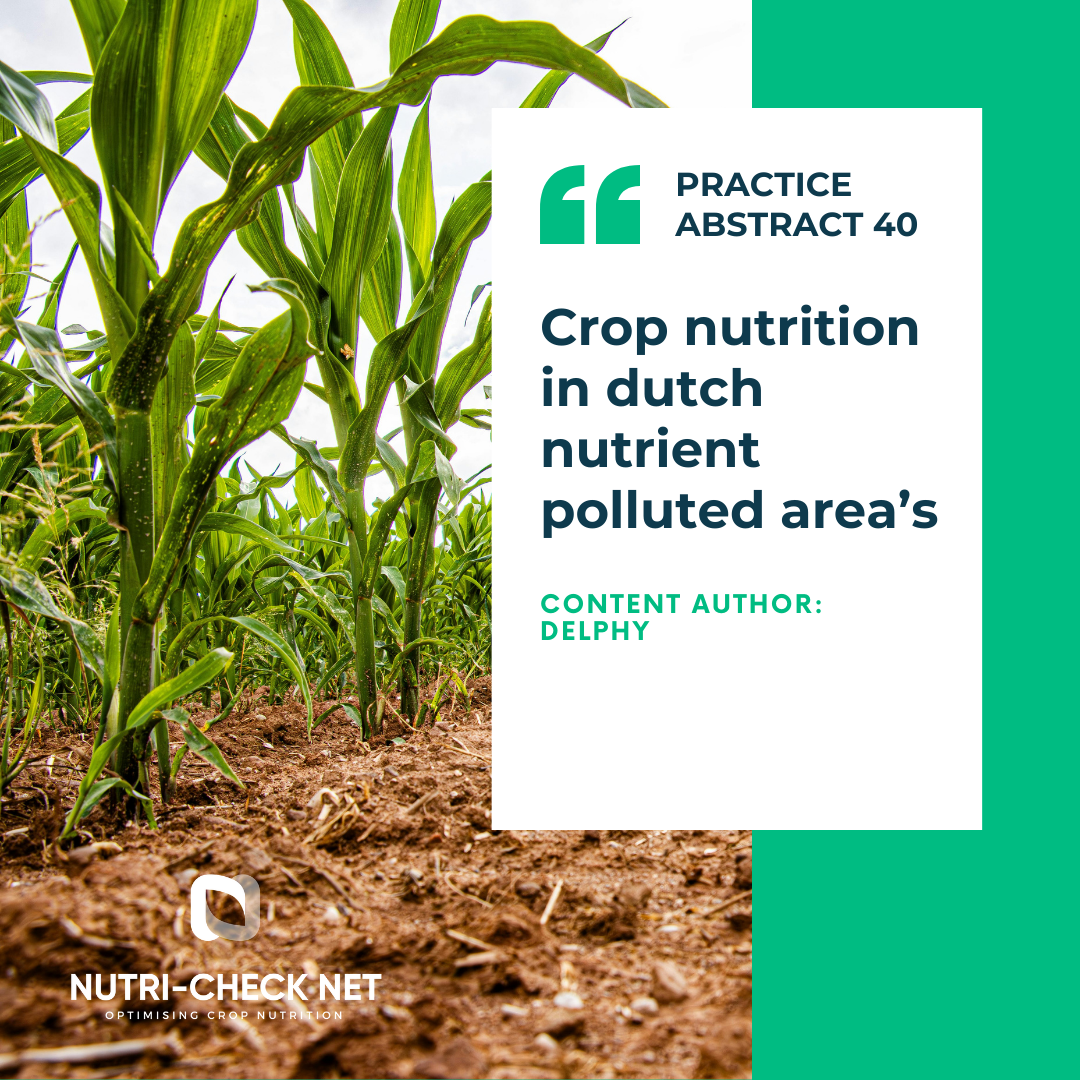 Crop nutrition in dutch nutrient polluted areas