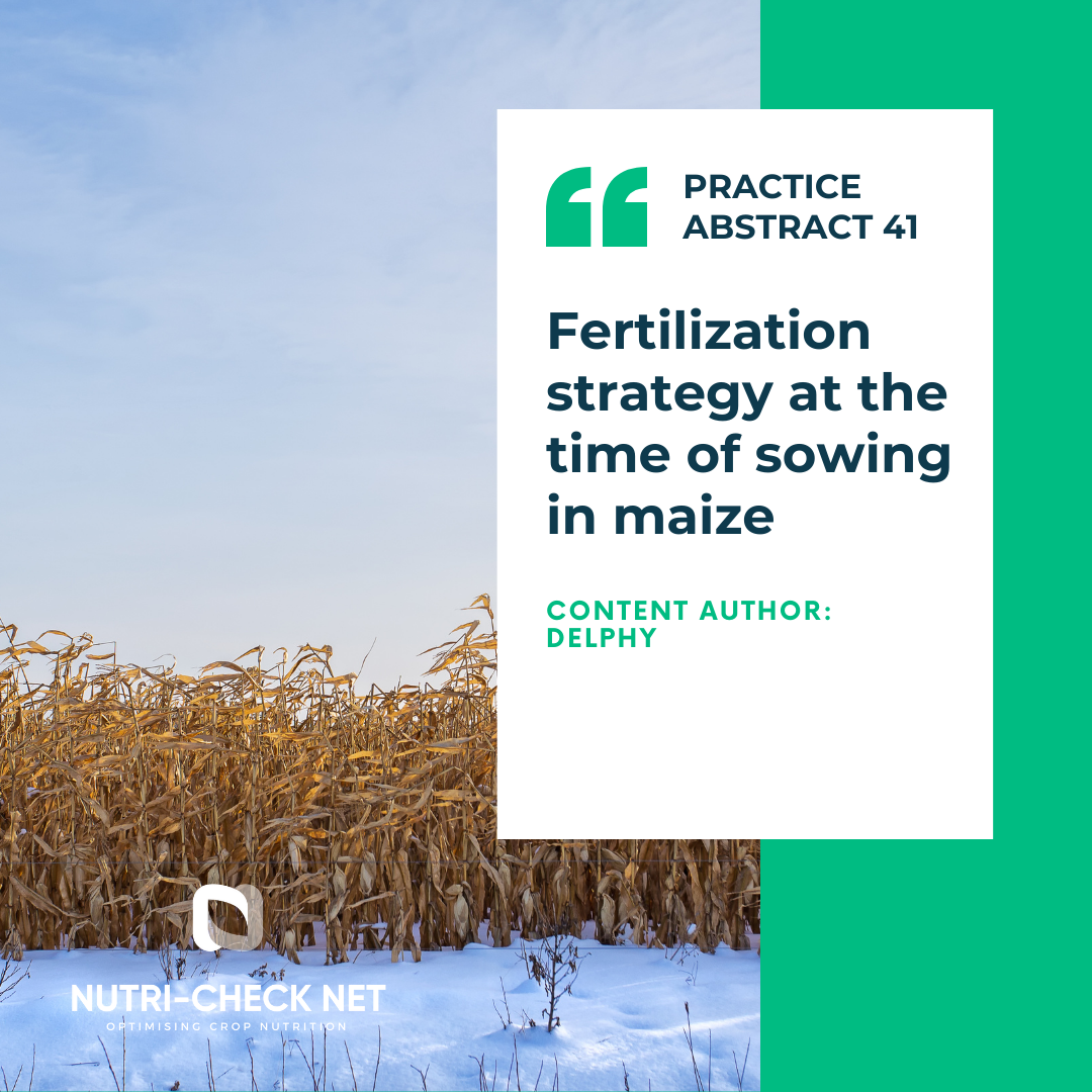 Fertilization strategy at the time of sowing in maize
