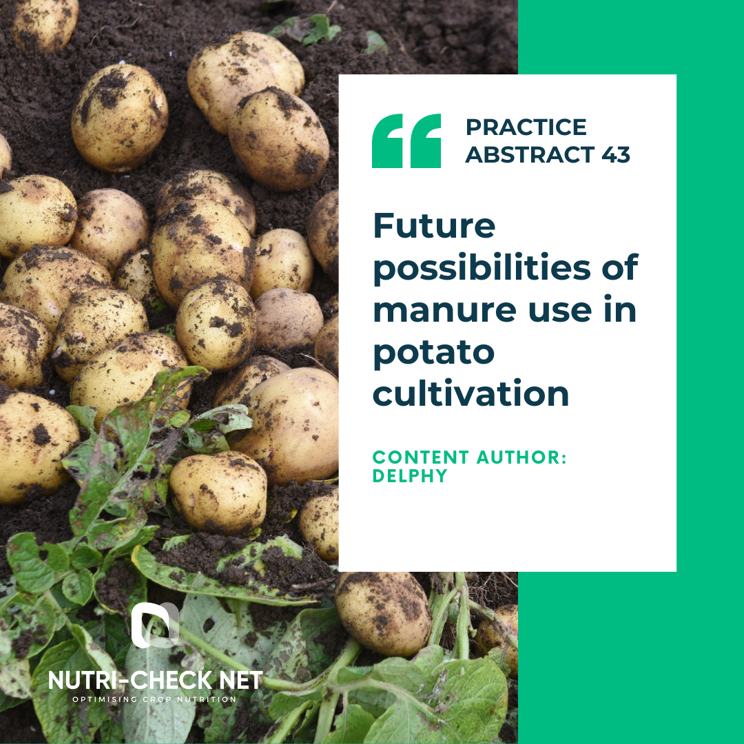 Future possibilities of manure use in potato cultivation