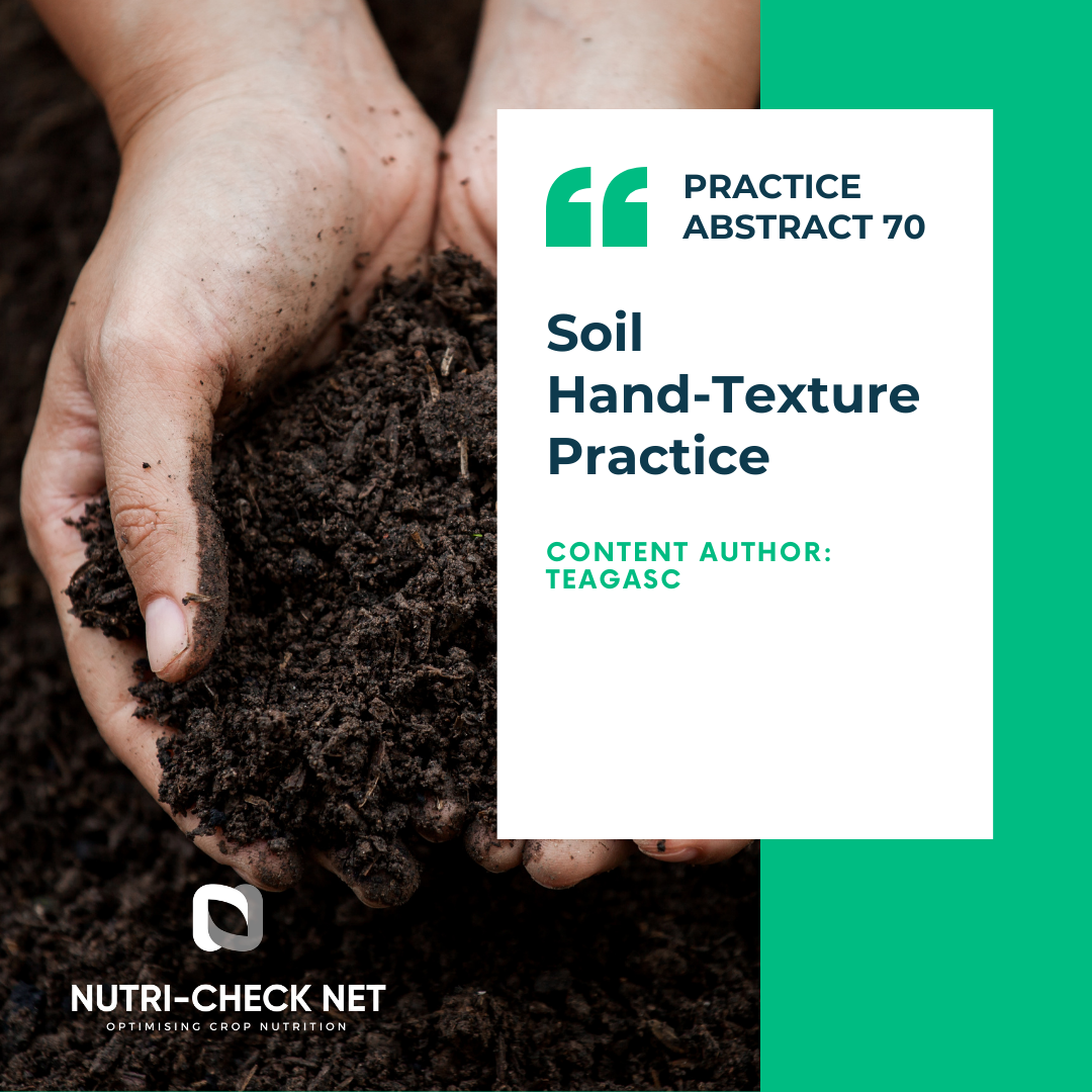 Soil Hand-Texture Practice