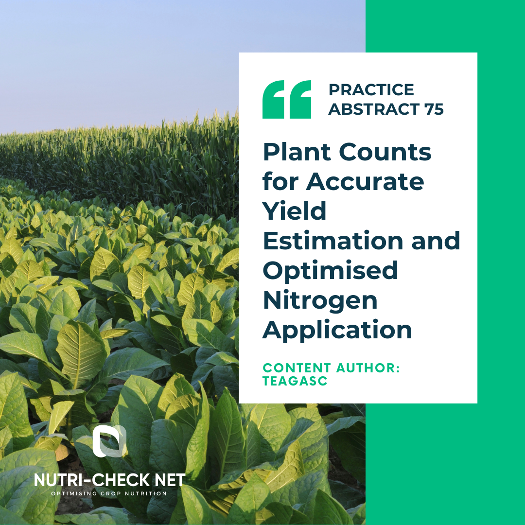 Plant Counts for Accurate Yield Estimation and Optimised Nitrogen Application
