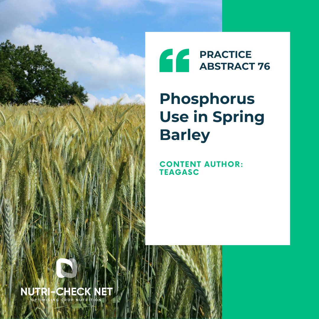 Phosphorus Use in Spring Barley