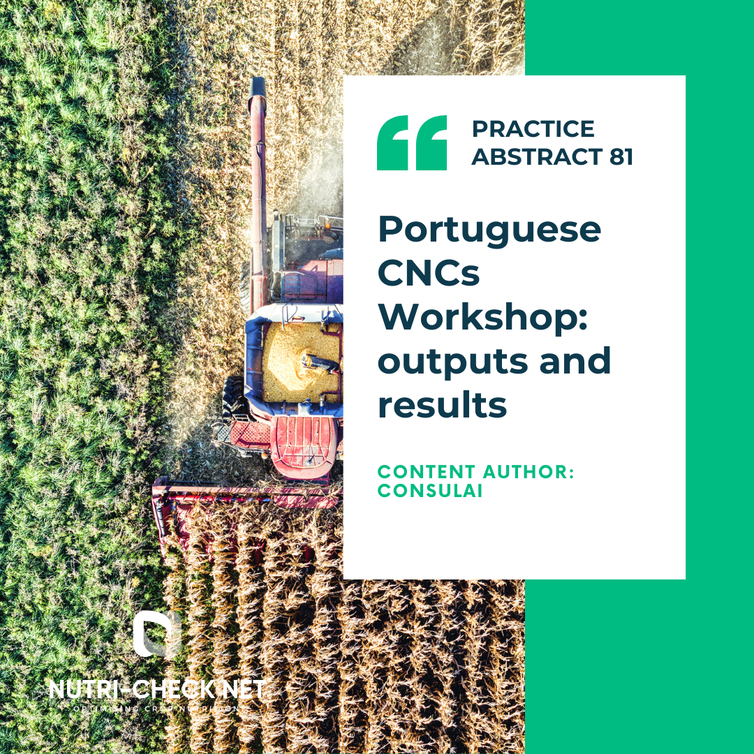 Portuguese CNCs Workshop: outputs and results