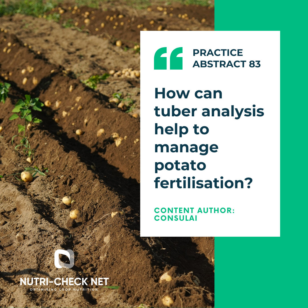How can tuber analysis help to manage potato fertilisation?