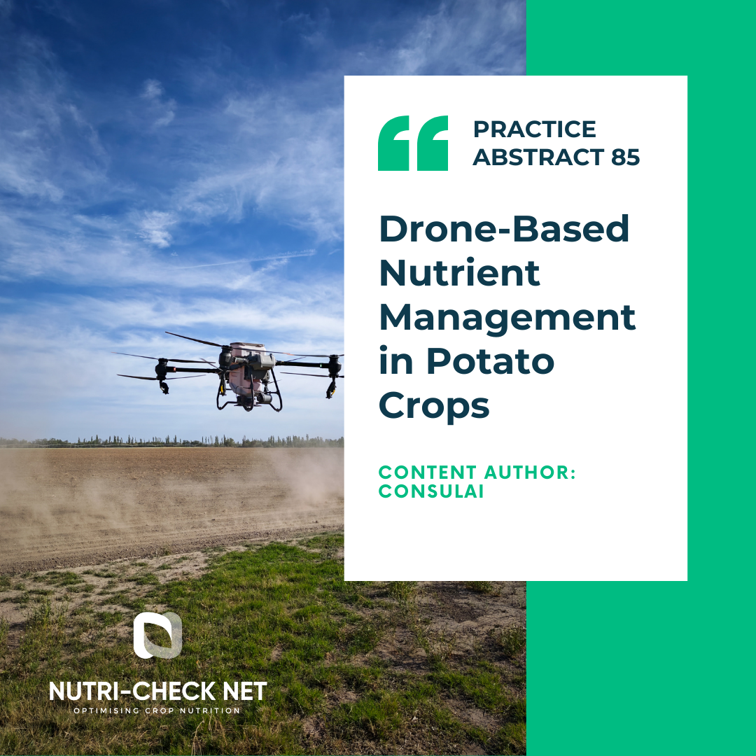 Drone-Based Nutrient Management in Potato Crops