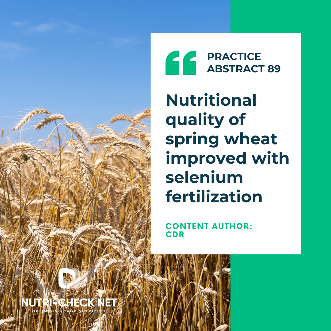Nutritional quality of spring wheat improved with selenium fertilization