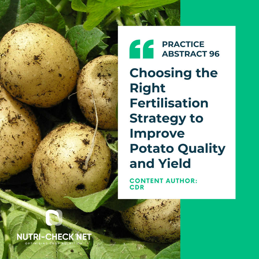 Choosing the Right Fertilisation Strategy to Improve Potato Quality and Yield