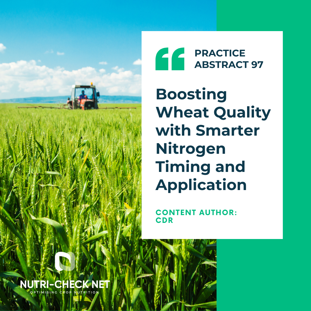 Boosting Wheat Quality with Smarter Nitrogen Timing and Application