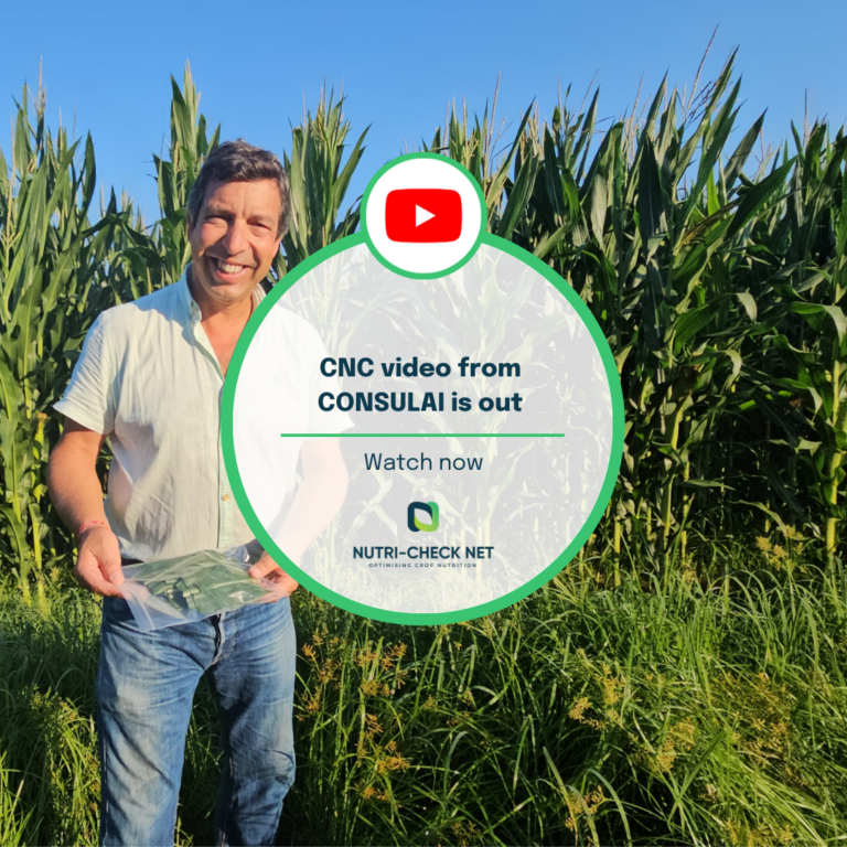 Leaf Analysis for Silage Corn – CNC Video from CONSULAI is out!