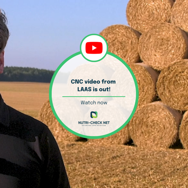 CNC Video from LAAS is out: Nitrogen Efficiency in Winter Wheat Fields